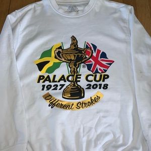 Palace par FW18 used Like new (heavy crewneck) M